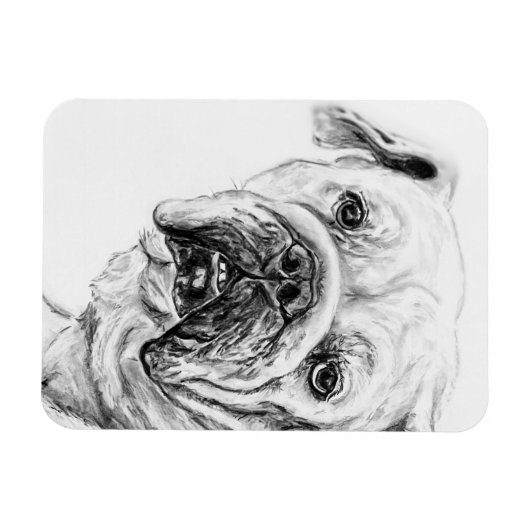 DIVA Blossom Flexible Magnet (Horizontal)