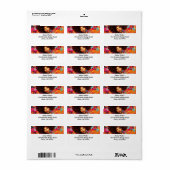 Diva Illumination: Diva-ish Delights Label Adressaufkleber (Vorne)