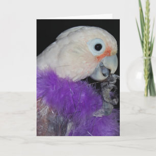 Diva-ish Geburtstag Karte