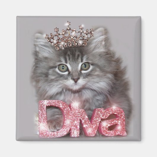 Diva Kitty with a Tiara Magnet (Vorne)