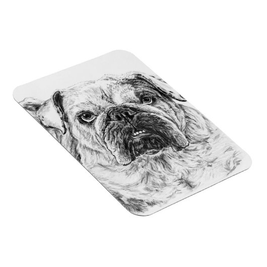 DIVA Lilybug Flexible Magnet (Rechte Seite)