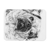 DIVA Lilybug Flexible Magnet (Horizontal)