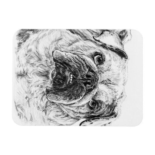 DIVA Lilybug Flexible Magnet (Horizontal)