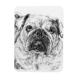 DIVA Lilybug Flexible Magnet