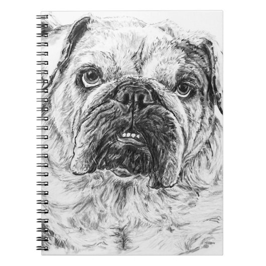 DIVA Lilybug Notizblock (Vorderseite)