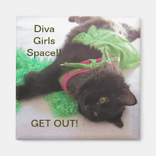DIVA-MÄDCHEN-SCHLIESSFACH-MAGNET MAGNET
