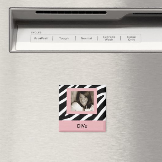DIVA MAGNET (In Situ (Geschirrspüler))