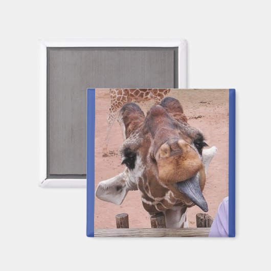 Diva Magnet #1 (Vorderseite/Rückseite)