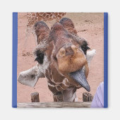 Diva Magnet #1 (Vorne)