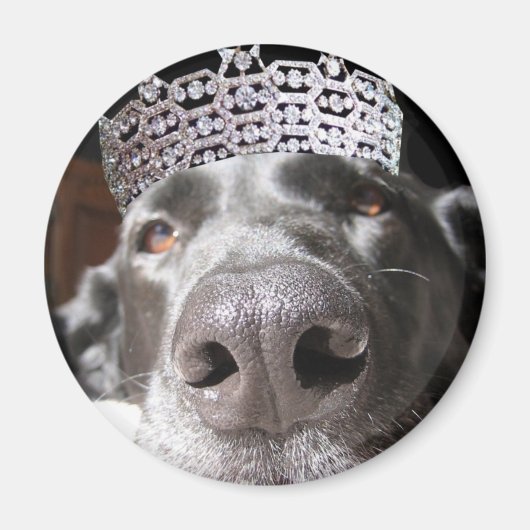 Diva-Magnet Magnet (Vorne)