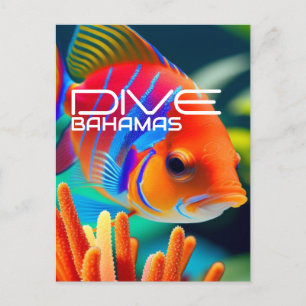 Dive Bahamas Orange - Planer Postkarte