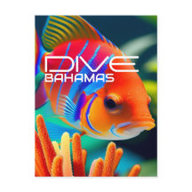 Dive Bahamas Orange - Planer
