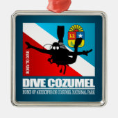 Dive Cozumel DF2 Ornament Aus Metall (Vorne)