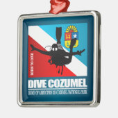 Dive Cozumel DF2 Ornament Aus Metall (Links)