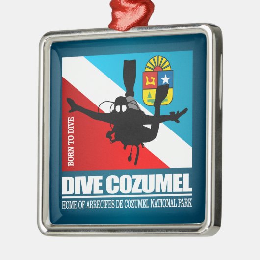 Dive Cozumel DF2 Ornament Aus Metall (Links)