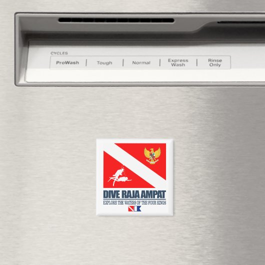 Dive Raja Ampat (sq) Magnet (In Situ (Geschirrspüler))