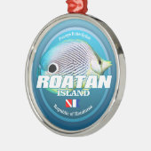 Dive Roatan Island (DD2) Ornament Aus Metall (Links)