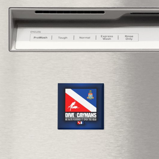 Dive the Caymans Magnet (In Situ (Geschirrspüler))