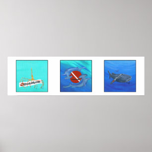 DiveBuddy.com-Plakat Poster