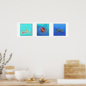 DiveBuddy.com Poster (Küche)