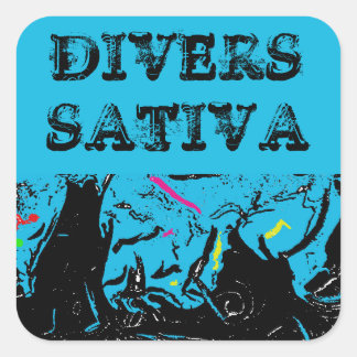 DIVERS SATIVA QUADRATISCHER AUFKLEBER