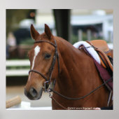 Diversifiziertes Artie Poster 2 (Vorne)