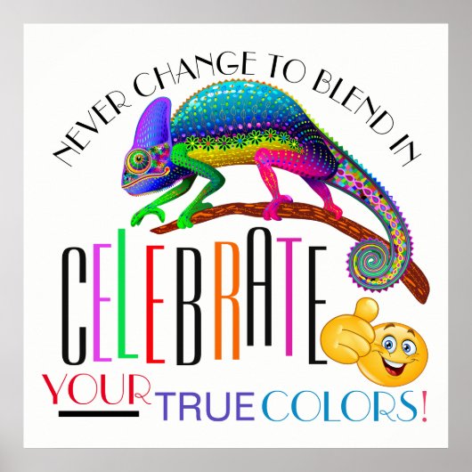 Diversity Ermutigung Akzeptanzplakat Poster (Vorne)