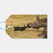 Diversity Geschenkanhänger (Rückseite Horizontal)