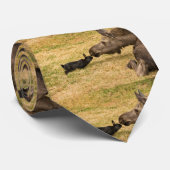 Diversity Krawatte (Gerollt)