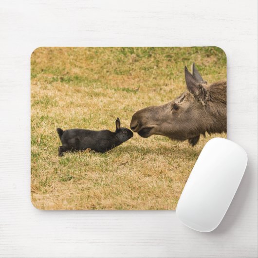 Diversity Mousepad (Mit Mouse)