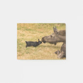 Diversity Post-it Klebezettel (Vorderseite)