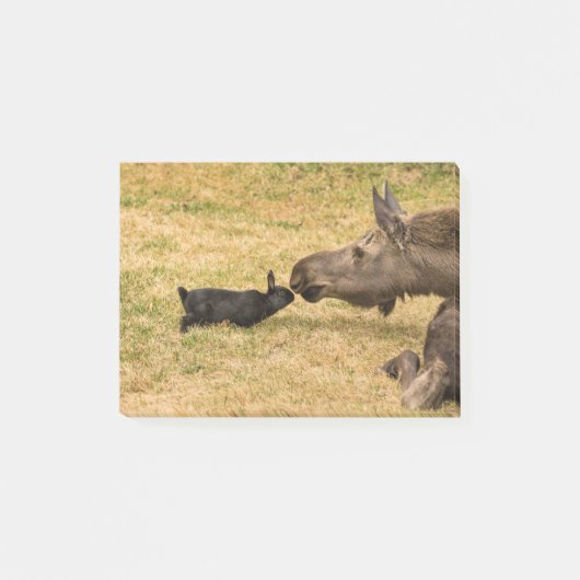 Diversity Post-it Klebezettel (Vorderseite)