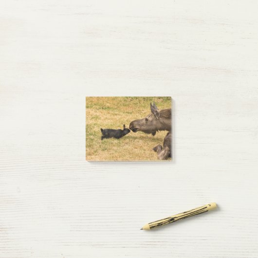 Diversity Post-it Klebezettel (Auf Schreibtisch)