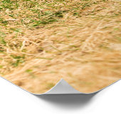 Diversity Poster (Ecke)