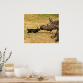 Diversity Poster (Küche)