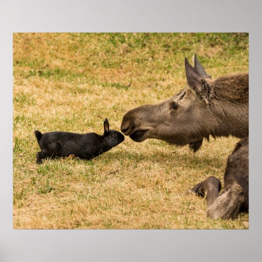 Diversity Poster (Vorne)