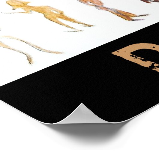 Diversity Poster (Ecke)