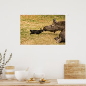 Diversity Poster (Küche)