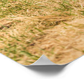 Diversity Poster (Ecke)