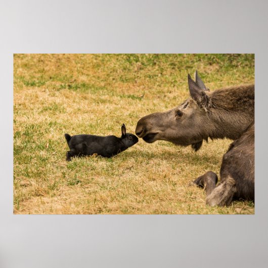 Diversity Poster (Vorne)