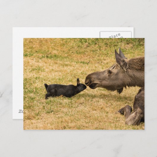 Diversity Postkarte (Vorne/Hinten)