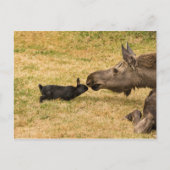 Diversity Postkarte (Vorderseite)