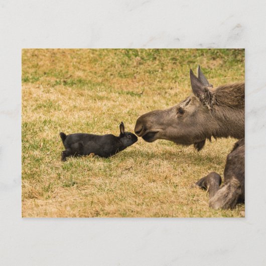 Diversity Postkarte (Vorderseite)