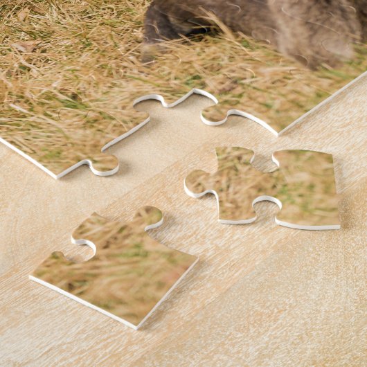 Diversity Puzzle (Seite)