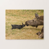 Diversity Puzzle (Horizontal)