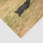 Diversity Seidenpapier (Ausschnitt)