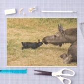 Diversity Seidenpapier (Handwerk)