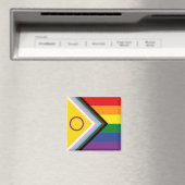 Diversity- und Inklusionsfortschritt - Flag Magnet (In Situ (Geschirrspüler))