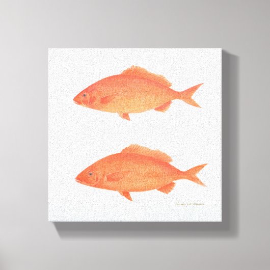 Dives Five Thousand 2005 Leinwanddruck (Vorderseite)