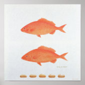 Dives Five Thousand 2005 Poster (Vorne)